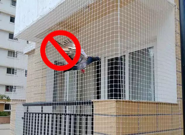 Discreet Pigeon Nets Gachibowli